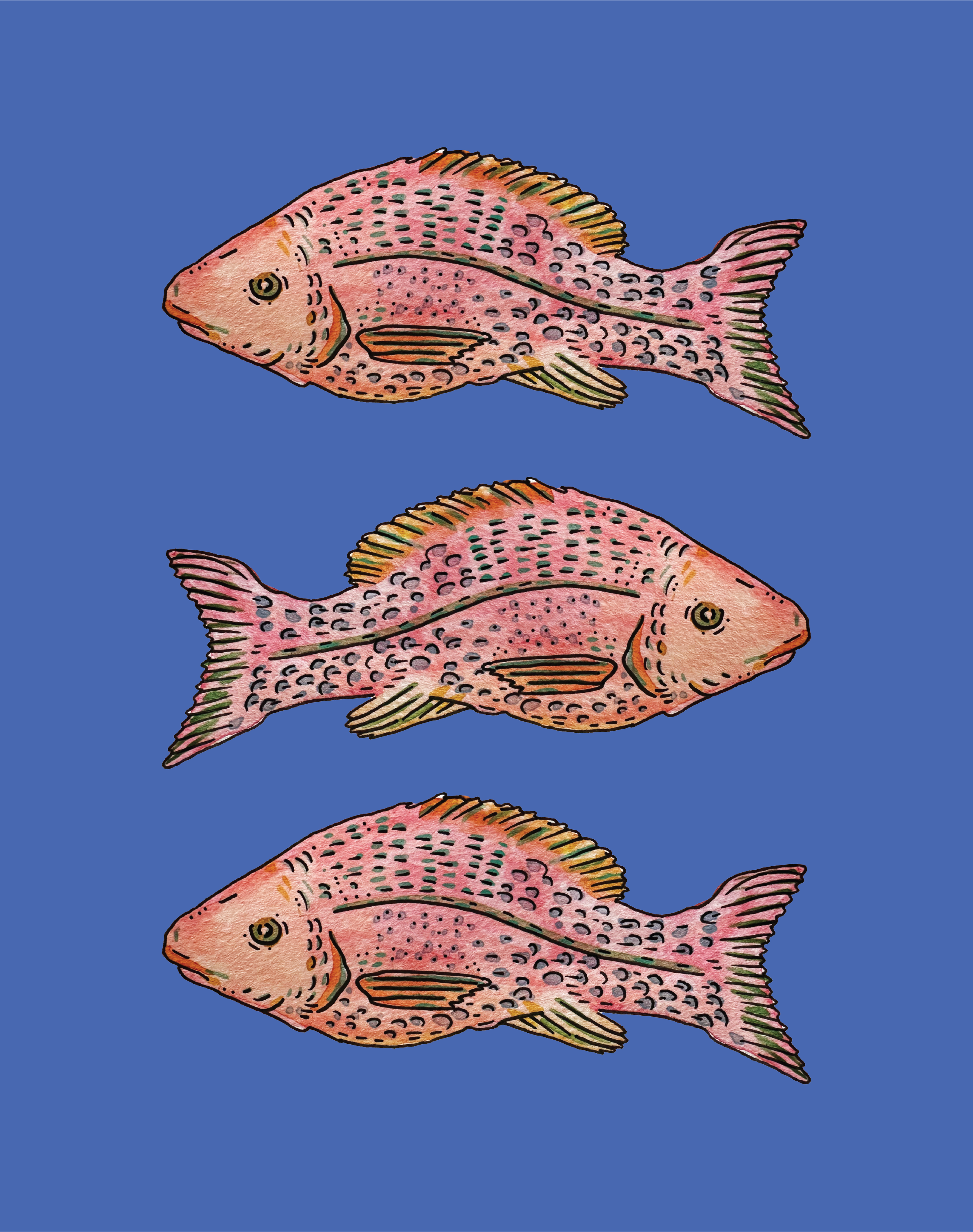 Fish